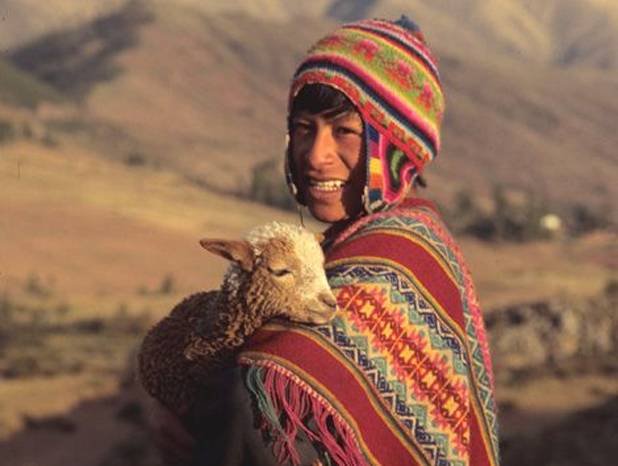 Cultures