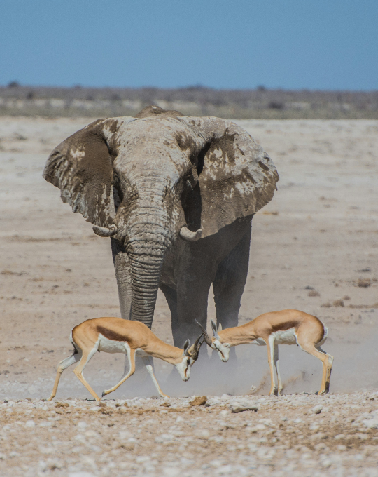 NAMIBIA