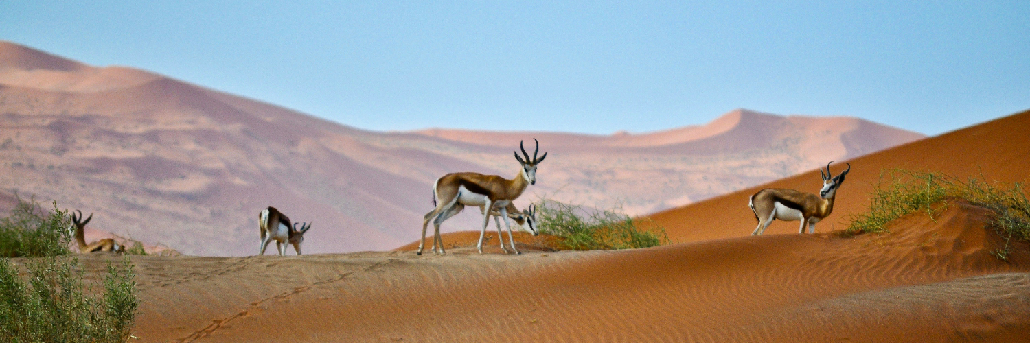 NAMIBIA